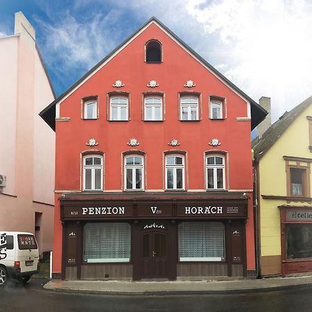 Penzion V Horach Kraslice Exterior foto